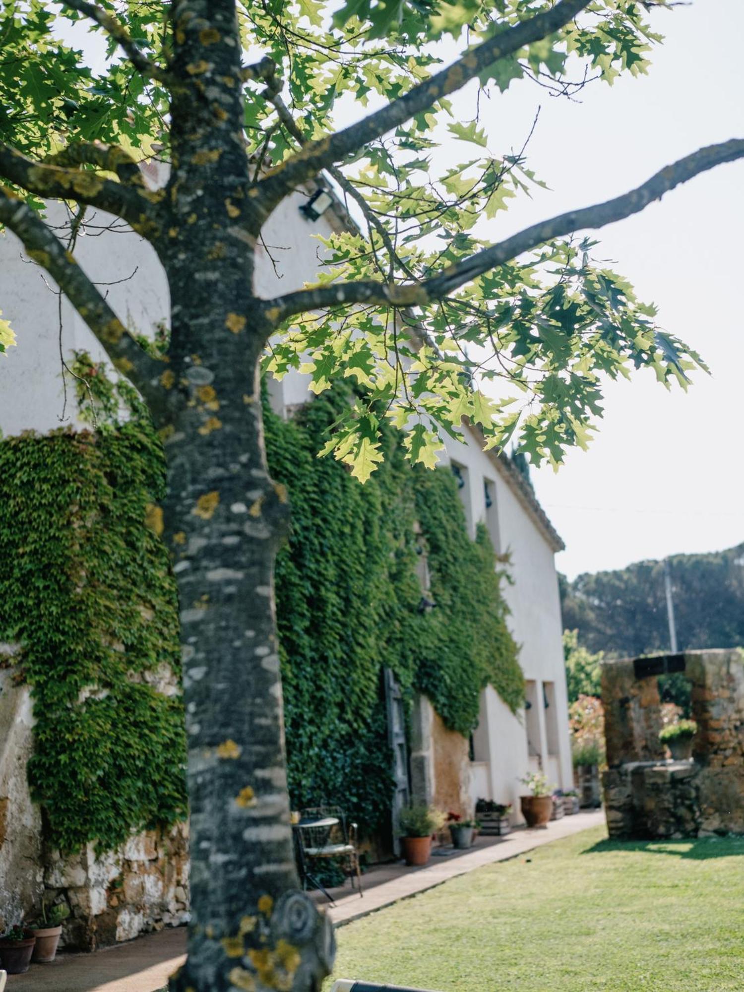 Bauernhof Serra 1786 Llagostera